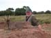 Brocketdeer,Mr.LarryHiggins